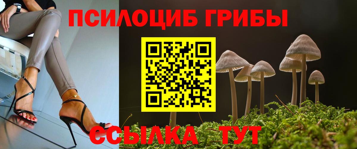 Галлюциногенные грибы Cubensis  Псилоцибиновые грибы прущие грибы  Коммунар  Вход с VPN 